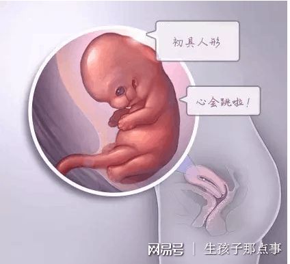 三代试管供卵生男孩